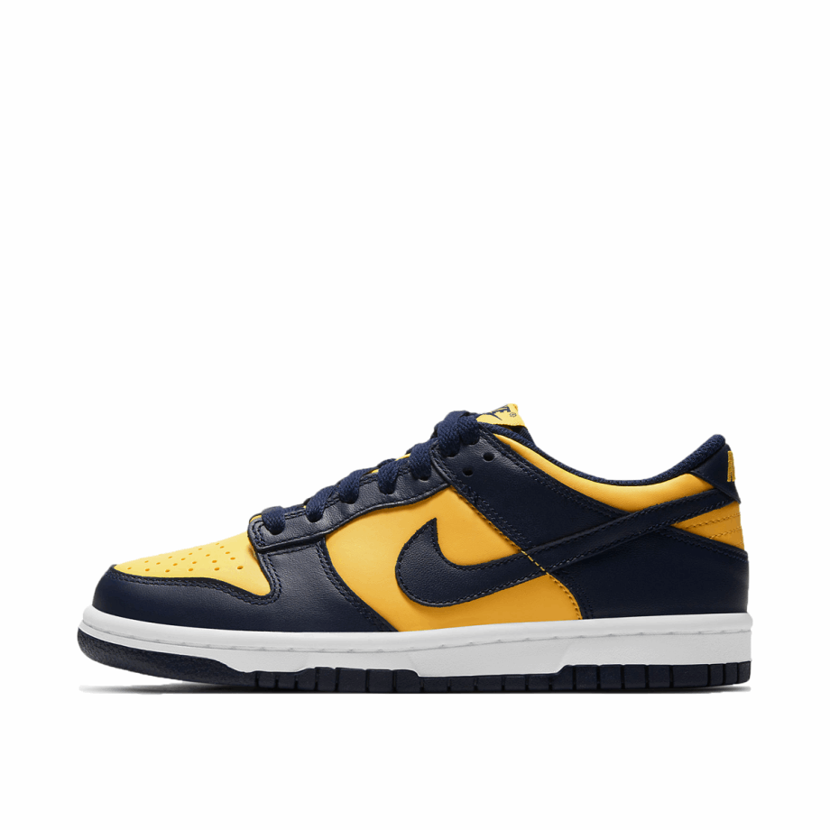 Dunk Low Michigan (GS) Klekt